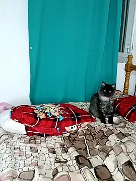 Snapshot of sama0012 chatting on 19, 2, 2025 sama0012 online show from 19, 2, 2025