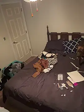 torilux online show from 8, 2, 2025