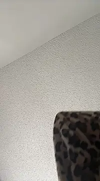 torilux online show from 22, 2, 2025