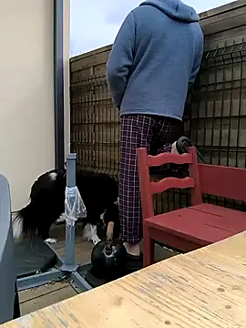 bogland33 online show from 13, 3, 2025