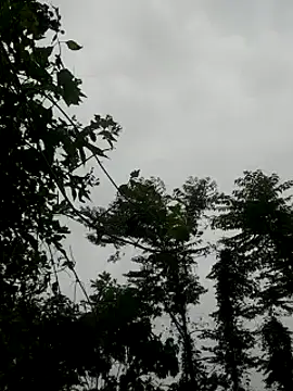 kumaricapalsex2 online show from 27, 1, 2025