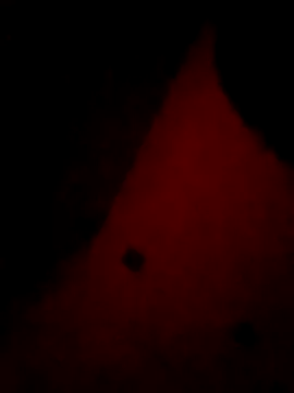 Mieto  online show from 17, 4, 2026