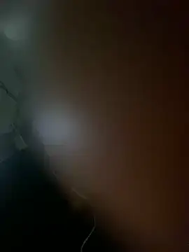 DINA-FOX online show from 31, 1, 2025