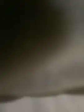 DINA-FOX online show from 1, 2, 2025