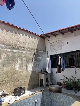 Leo bunny hot online show from 27, 2, 2025