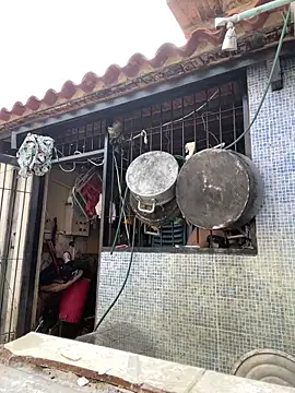 Leo bunny hot online show from 7, 3, 2025