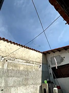 Leo bunny hot online show from 2, 10, 2025