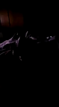 Snapshot of Imthegoattt chatting on 12, 12, 2024 Imthegoattt online show from 12, 12, 2024