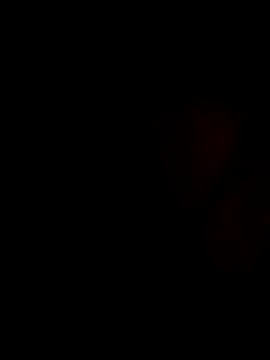 Snapshot of stevenp chatting on 2, 11, 2025 stevenp online show from 2, 11, 2025