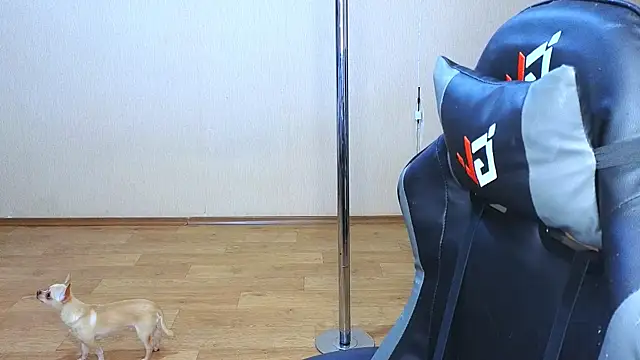 doll barbieee online show from 9, 3, 2025