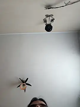 vulpe8400 online show from 19, 4, 2026