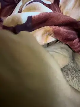 hamed-697 online show from 7, 12, 2024