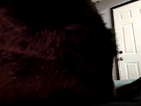 Snapshot of DevinToore chatting on 29, 10, 2025 DevinToore online show from 29, 10, 2025