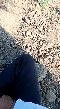 dickerdaddy25 online show from 18, 2, 2025