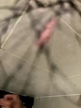 Snapshot of lescro95_ chatting on 2, 12, 2025 lescro95 online show from 2, 12, 2025