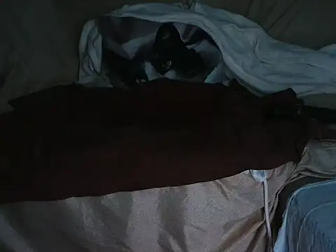 VeneRed online show from 1, 10, 2025