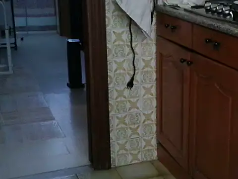 VeneRed online show from 13, 10, 2025