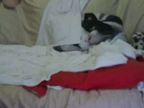 VeneRed online show from 17, 10, 2025