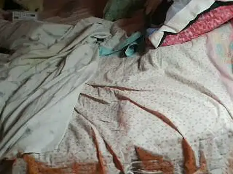 VeneRed online show from 11, 4, 2026