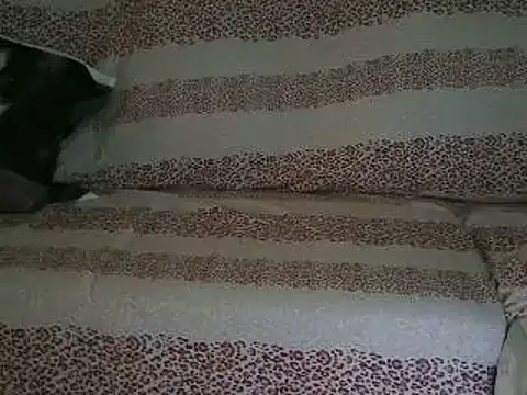 VeneRed online show from 17, 4, 2026