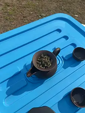 CN-Shanshan online show from 1, 2, 2026