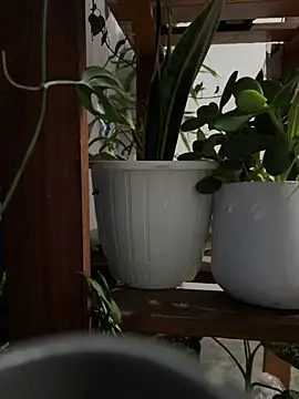 Snapshot of alburt_1996 chatting on 30, 12, 2024 alburt 1996 online show from 30, 12, 2024