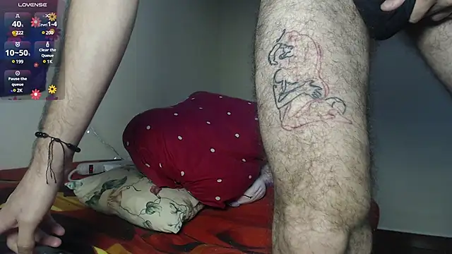 Dante Bear  online show from 16, 2, 2025