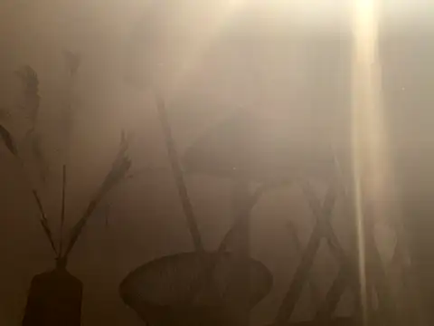 Snapshot of mesetti chatting on 8, 12, 2024 mesetti online show from 8, 12, 2024