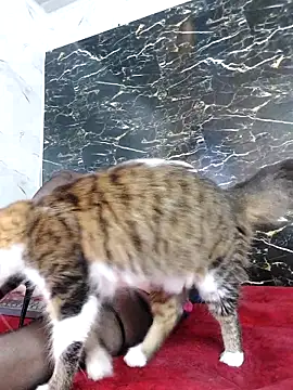 crislingery dolli online show from 12, 10, 2025