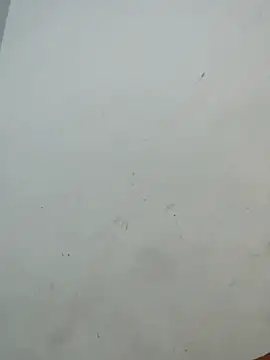 Snapshot of Sania-Love chatting on 2, 12, 2025 Sania-Love online show from 2, 12, 2025