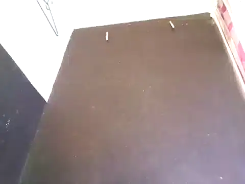 Loggan donnelly online show from 29, 10, 2025