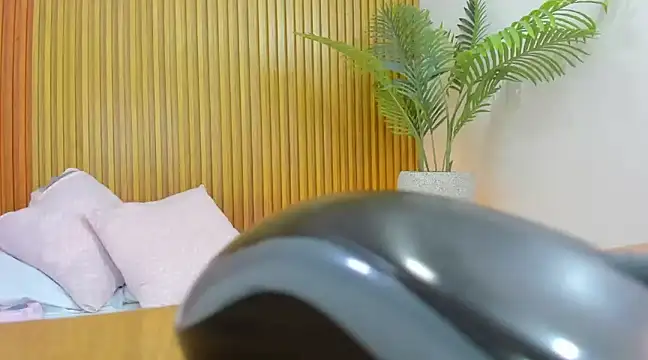 nahia 13 online show from 20, 2, 2025