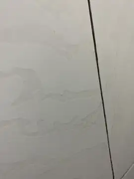 picatorta19 online show from 17, 12, 2025