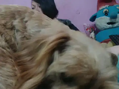 Cheliafun online show from 25, 10, 2025