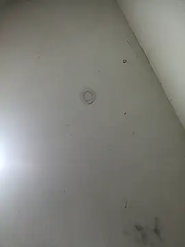 jeremiabello online show from 17, 3, 2025