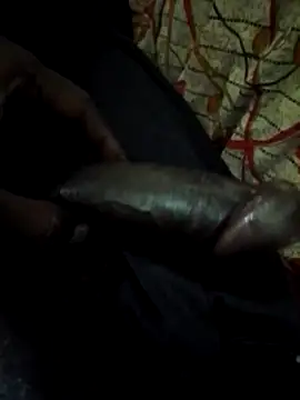 Snapshot of Antor1234 chatting on 22, 1, 2025 Antor1234 online show from 22, 1, 2025