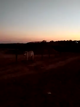 Leocesar37 online show from 14, 9, 2025