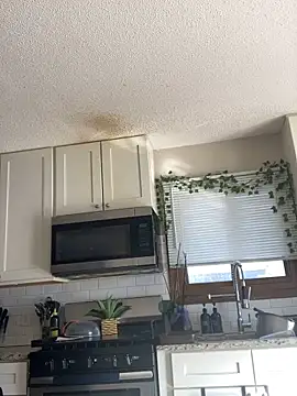 spicysugar74 online show from 6, 2, 2026