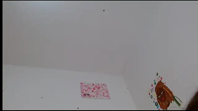 Snapshot of kity__ chatting on 24, 2, 2025 kity   online show from 24, 2, 2025