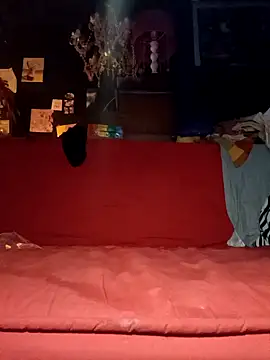 justiacoob online show from 19, 11, 2025