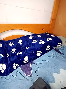 PequeArely online show from 4, 12, 2024