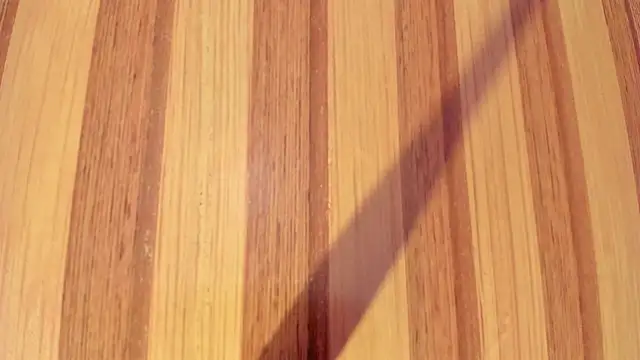 Taylor  cooper online show from 16, 12, 2025