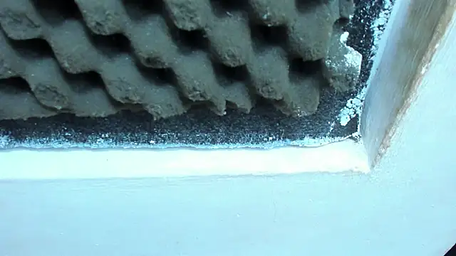 playsgirlhot online show from 8, 3, 2025