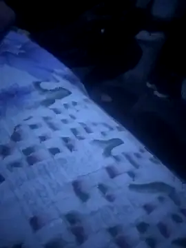 mojita ko kasi online show from 9, 4, 2026