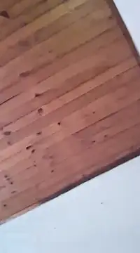 DANIELA MICHEL online show from 19, 1, 2025