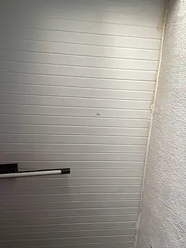 luara1988 online show from 12, 11, 2025