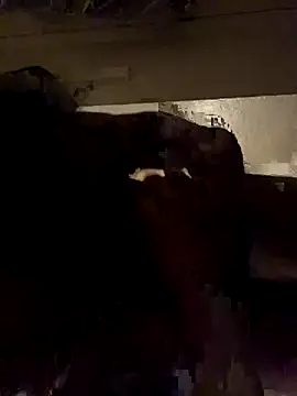 ethergodess9 online show from 19, 11, 2025