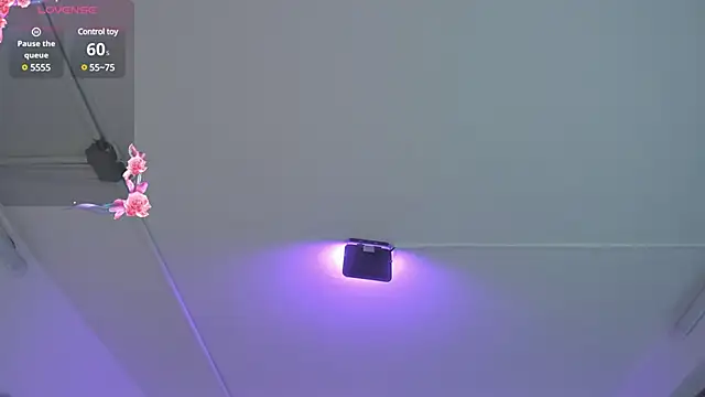 Snapshot of Meelanny_ds chatting on 20, 12, 2024 Meelanny ds online show from 20, 12, 2024