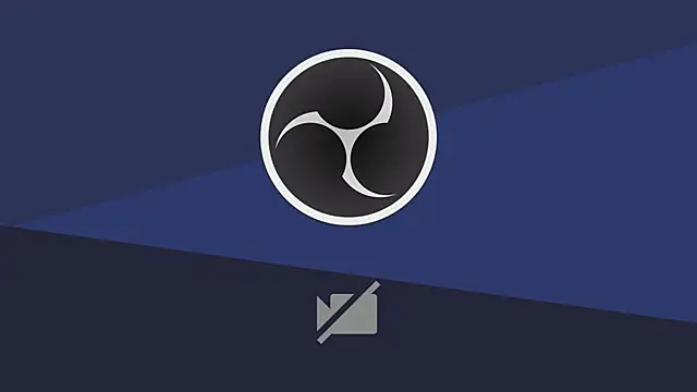 LisaElfy online show from 3, 3, 2026