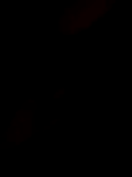 Snapshot of InnocentSupply4 chatting on 8, 11, 2025 InnocentSupply4 online show from 8, 11, 2025